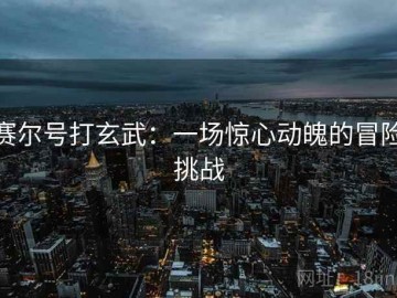 赛尔号打玄武：一场惊心动魄的冒险挑战