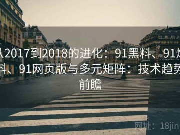 从2017到2018的进化：91黑料、91爆料、91网页版与多元矩阵：技术趋势前瞻