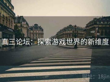 真三论坛：探索游戏世界的新维度