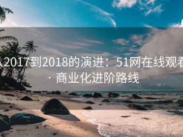 从2017到2018的演进：51网在线观看 · 商业化进阶路线