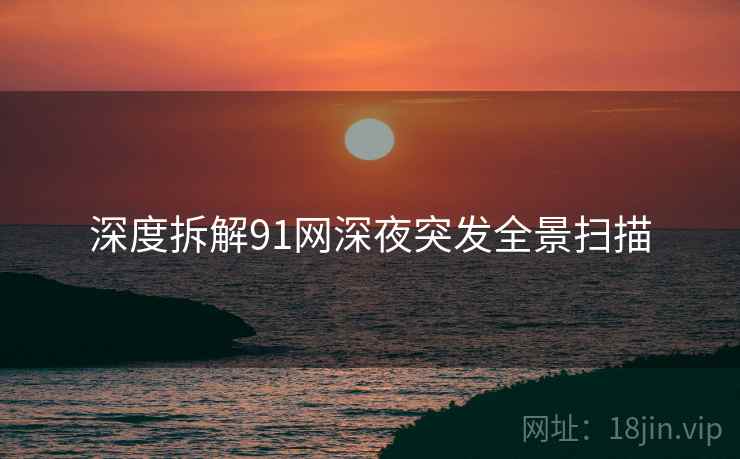 深度拆解91网深夜突发全景扫描