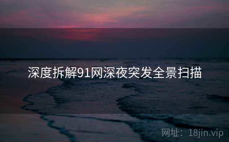 深度拆解91网深夜突发全景扫描