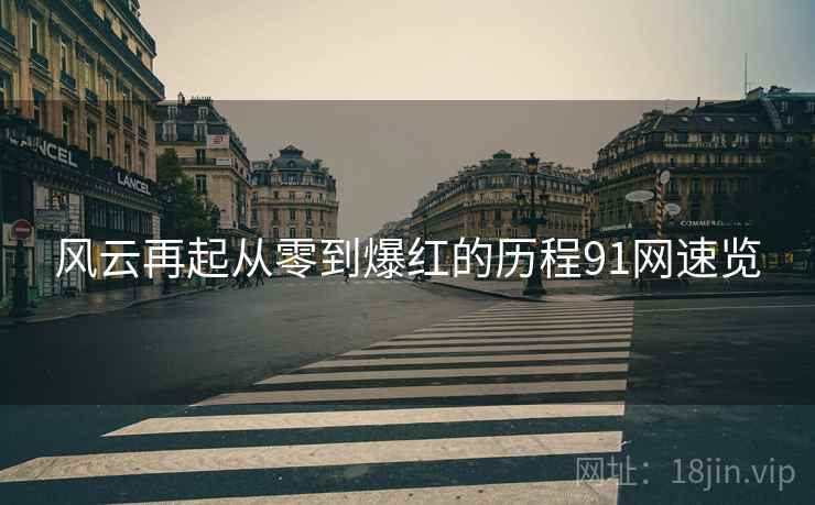 风云再起从零到爆红的历程91网速览