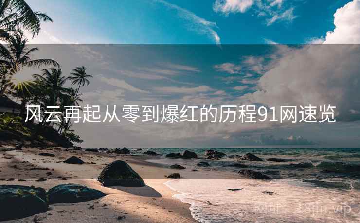风云再起从零到爆红的历程91网速览