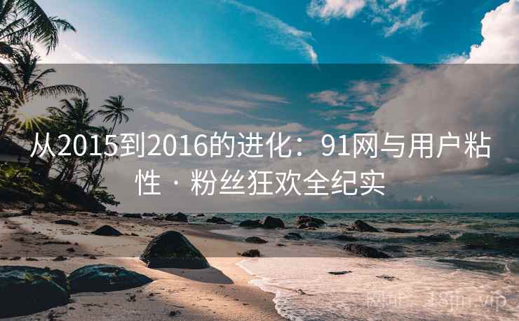 从2015到2016的进化：91网与用户粘性 · 粉丝狂欢全纪实
