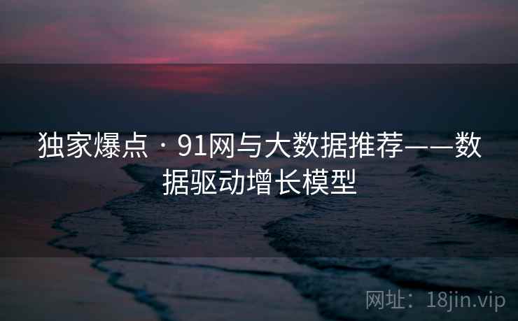 独家爆点 · 91网与大数据推荐——数据驱动增长模型
