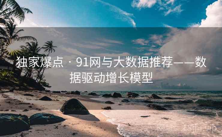 独家爆点 · 91网与大数据推荐——数据驱动增长模型