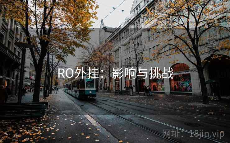 RO外挂：影响与挑战
