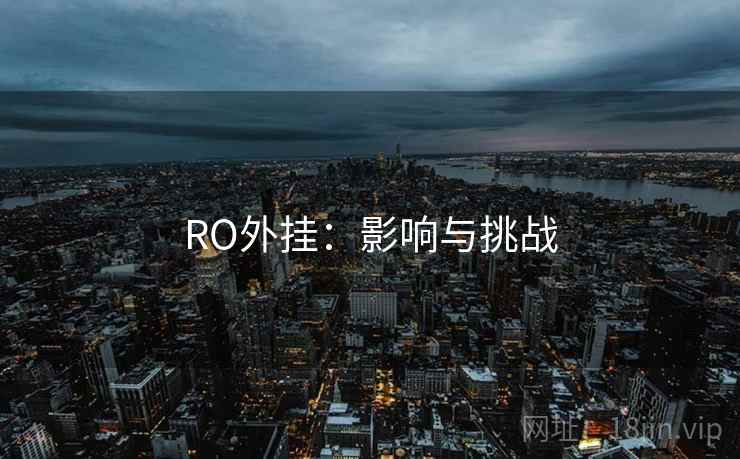 RO外挂：影响与挑战
