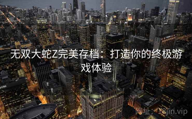 无双大蛇Z完美存档：打造你的终极游戏体验