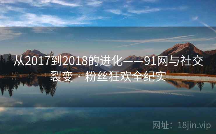 从2017到2018的进化——91网与社交裂变 · 粉丝狂欢全纪实