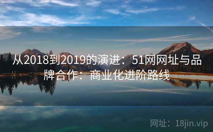 从2018到2019的演进：51网网址与品牌合作：商业化进阶路线