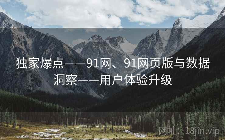 独家爆点——91网、91网页版与数据洞察——用户体验升级