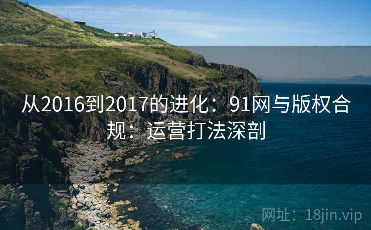 从2016到2017的进化：91网与版权合规：运营打法深剖
