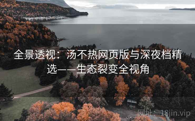 全景透视：汤不热网页版与深夜档精选——生态裂变全视角