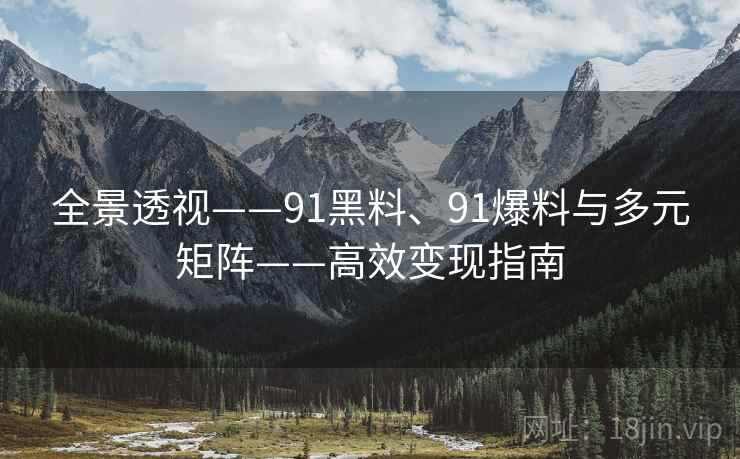 全景透视——91黑料、91爆料与多元矩阵——高效变现指南