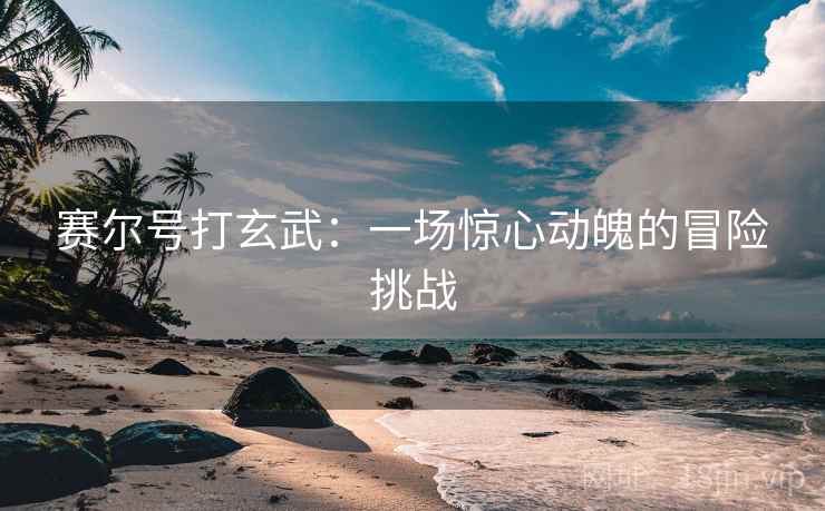 赛尔号打玄武：一场惊心动魄的冒险挑战