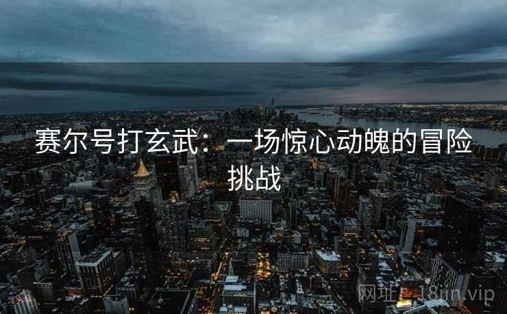 赛尔号打玄武：一场惊心动魄的冒险挑战