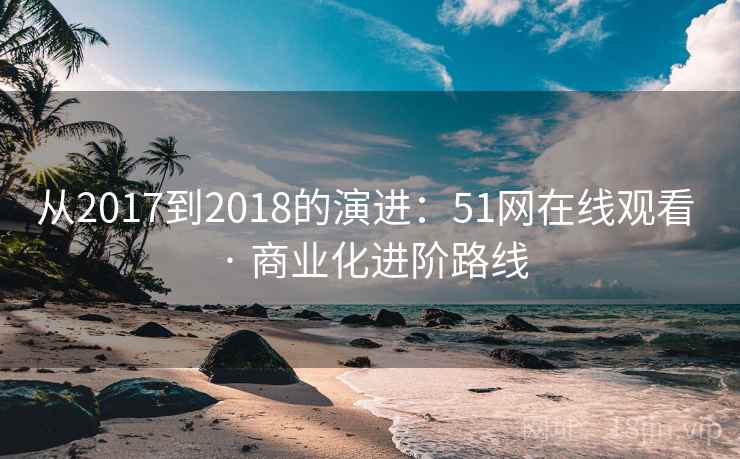 从2017到2018的演进：51网在线观看 · 商业化进阶路线