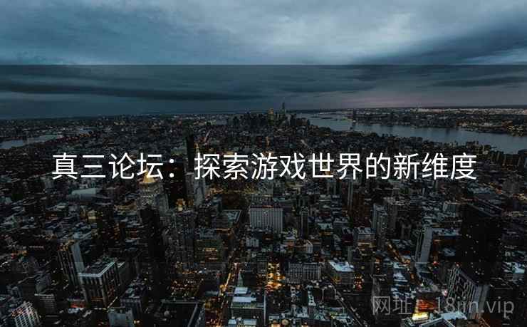 真三论坛：探索游戏世界的新维度