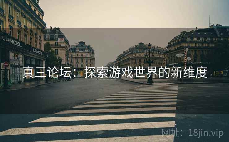 真三论坛：探索游戏世界的新维度